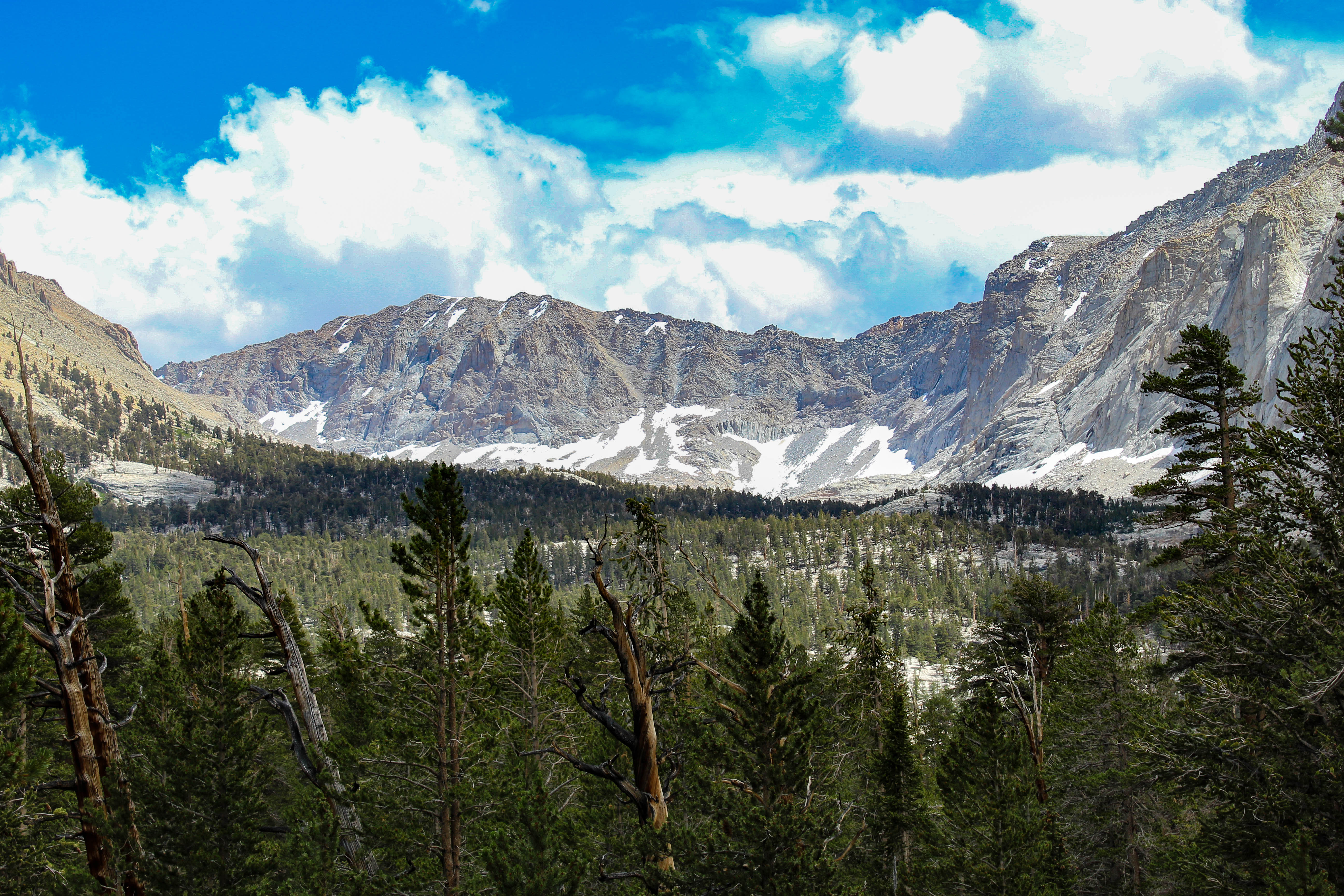 Somewhat burnt out pines in the foreground give way to scattered peaks and a partly cloudy sky beyond.